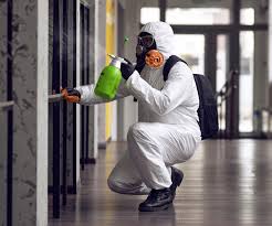 Best Black Mold Removal  in Lacoochee, FL